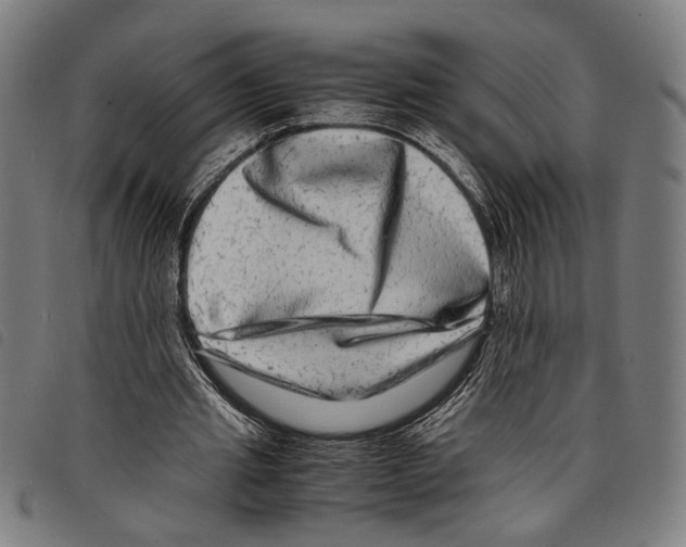 X0000097780437200804041217