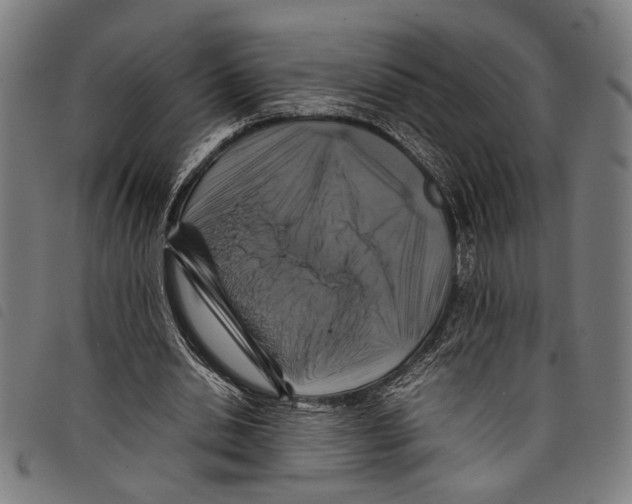 X0000097780438200804041217