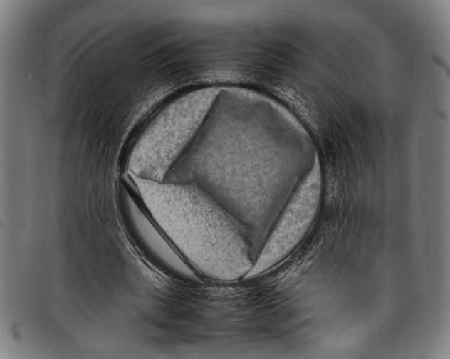 X0000097780439200804041217