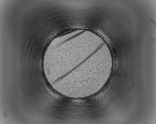 X0000097780441200804041217