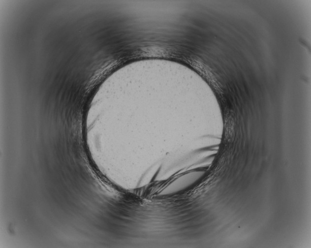 X0000097780442200804041217