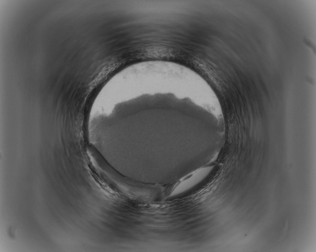 X0000097780443200804041217