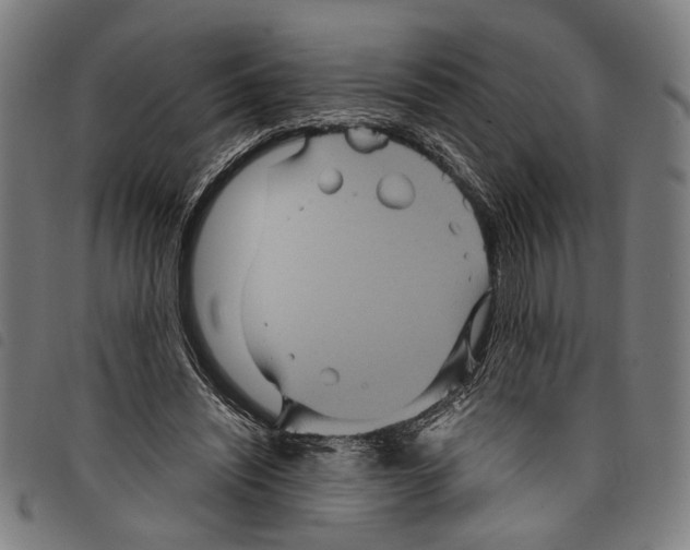 X0000097780444200804041217