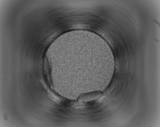 X0000097780445200804041217