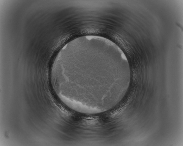 X0000097780447200804041217