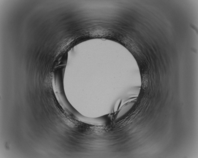 X0000097780448200804041217