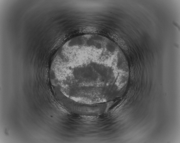 X0000097780449200804041217