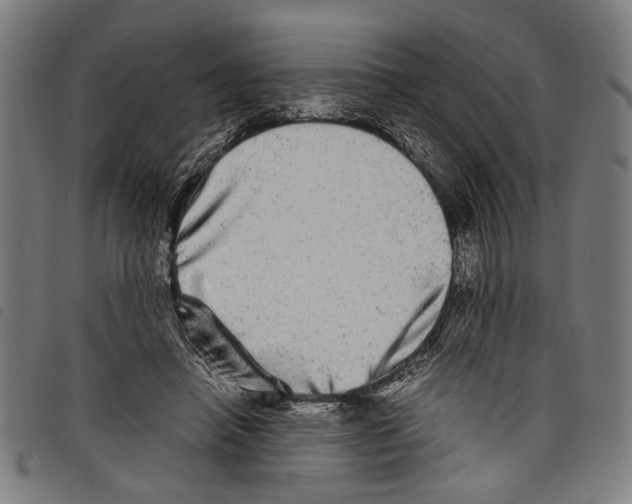 X0000097780450200804041217