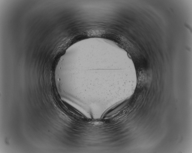 X0000097780452200804041217