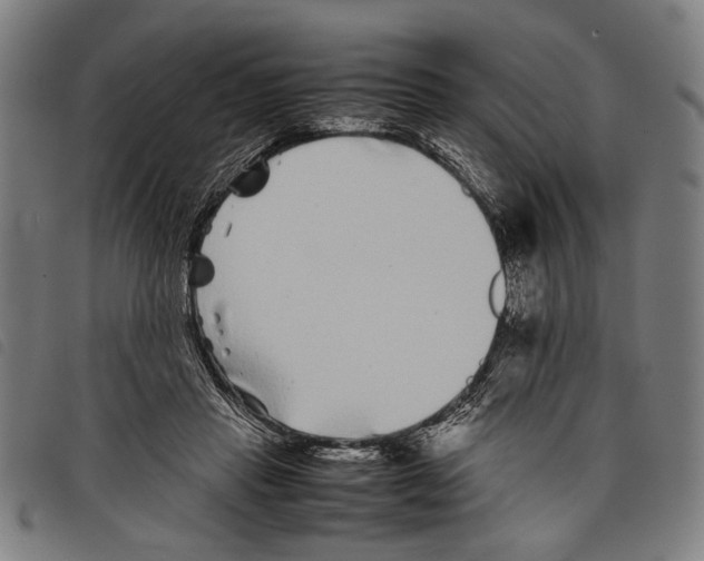 X0000097780453200804041217