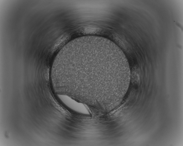 X0000097780454200804041217