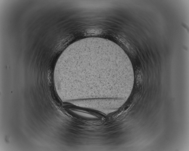 X0000097780455200804041217