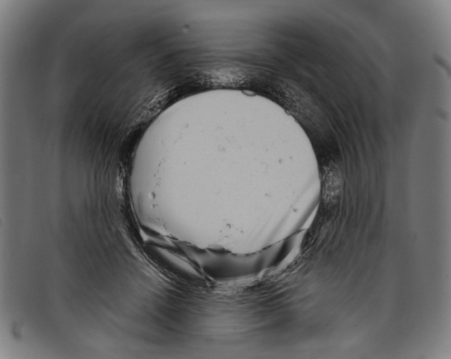 X0000097780456200804041217