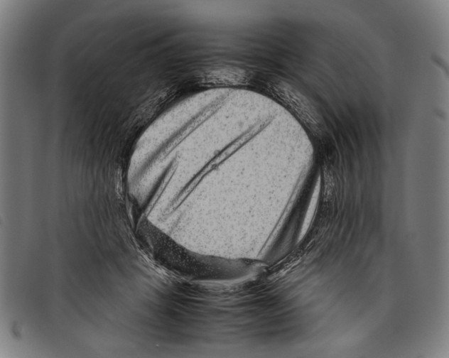 X0000097780457200804041217