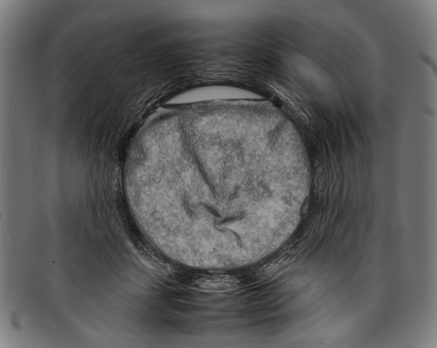 X0000097780459200804041217