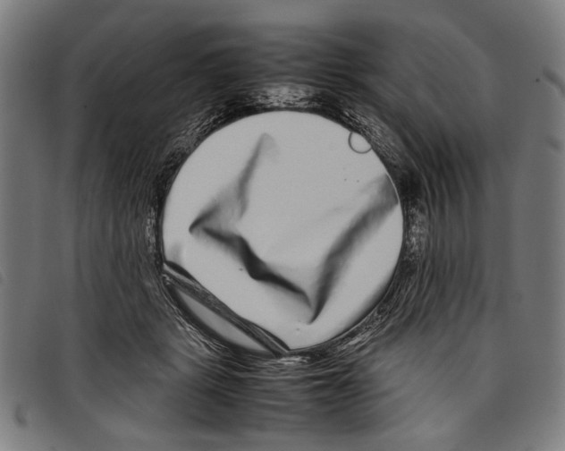 X0000097780461200804041217