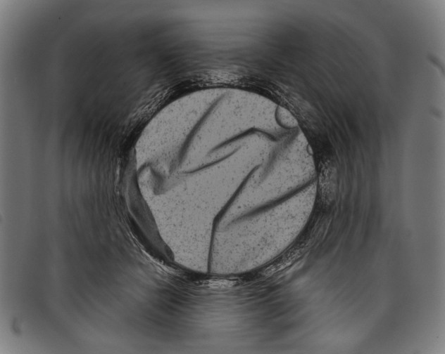 X0000097780462200804041217