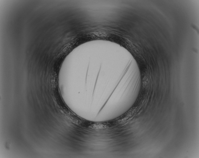 X0000097780464200804041218