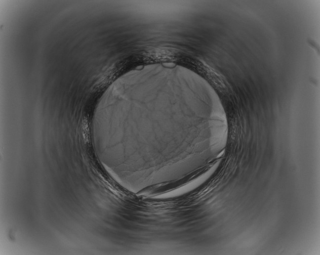 X0000097780465200804041218