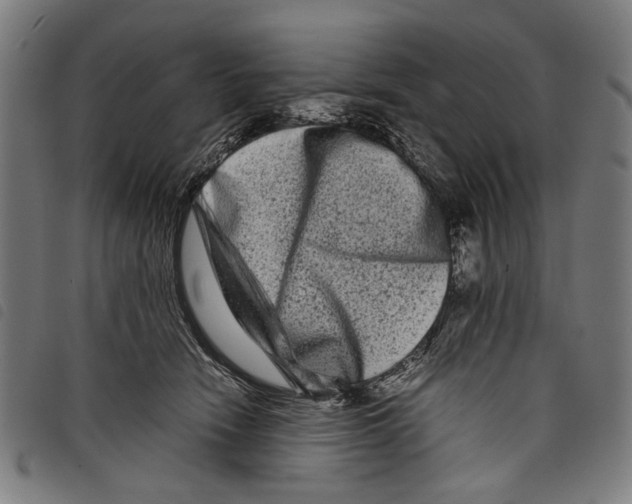 X0000097780466200804041218