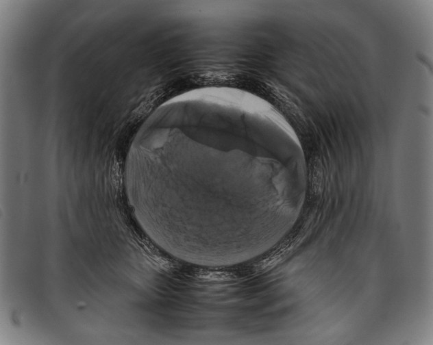 X0000097780467200804041218