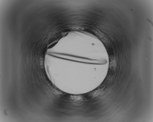 X0000097780469200804041218