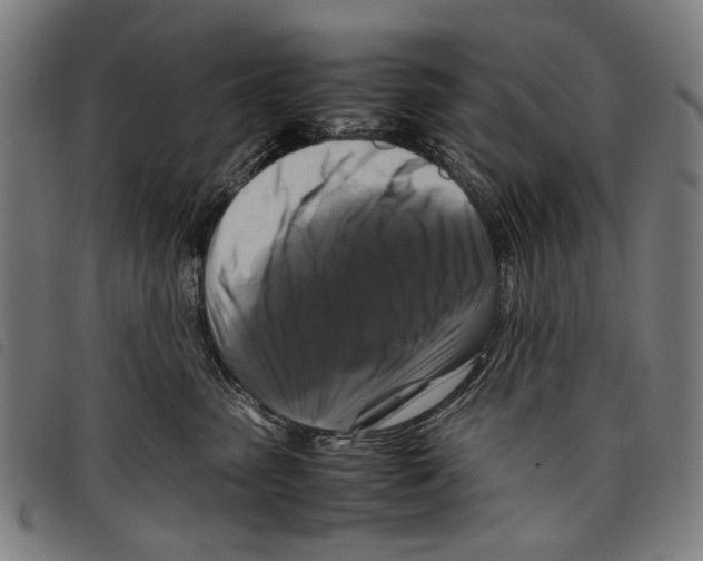 X0000097780475200804041218