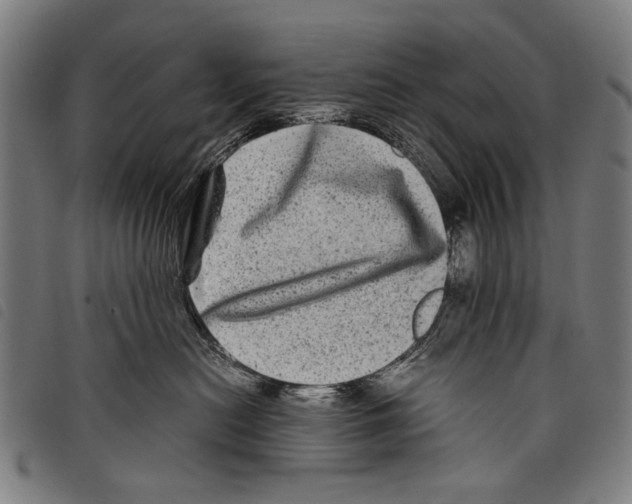 X0000097780478200804041218