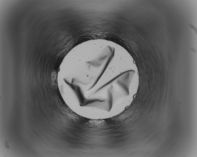 X0000097780480200804041218