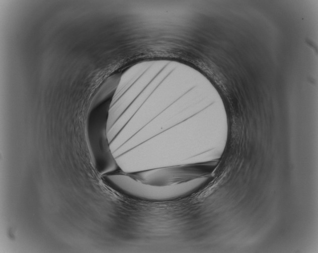 X0000097780481200804041217