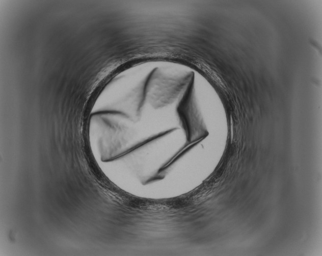 X0000097780483200804041217