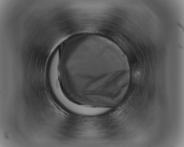 X0000097780484200804041217