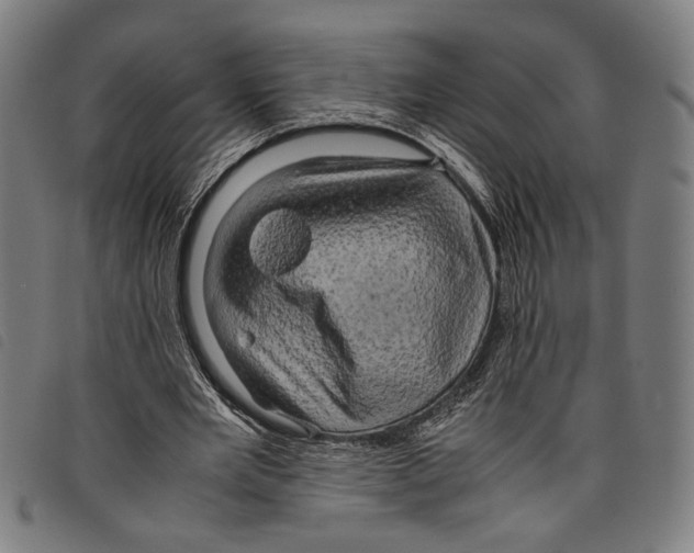 X0000097780485200804041217