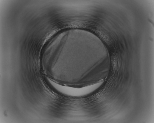 X0000097780488200804041217