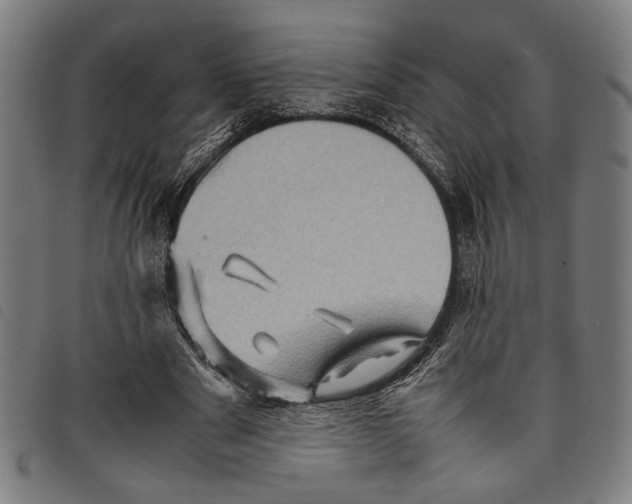 X0000097780489200804041217