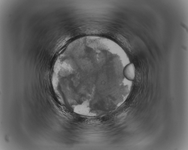 X0000097780491200804041217