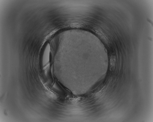 X0000097780492200804041217