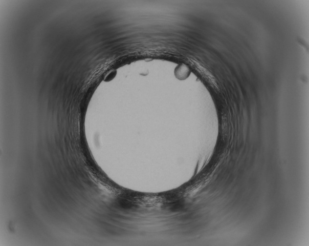 X0000097780493200804041217