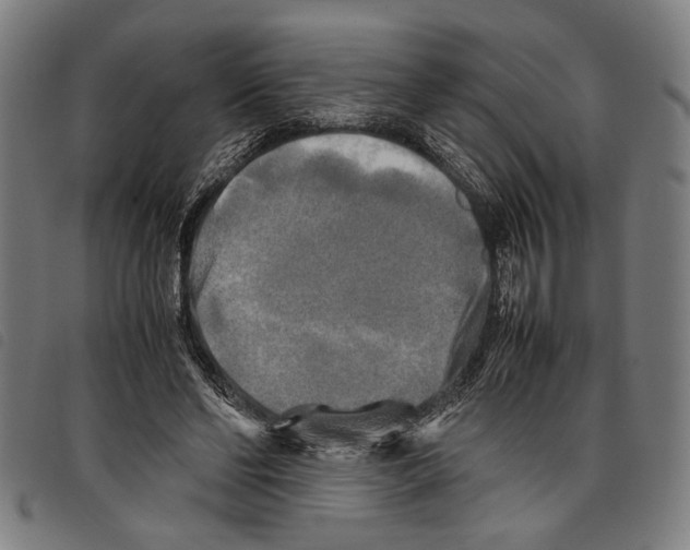 X0000097780494200804041217