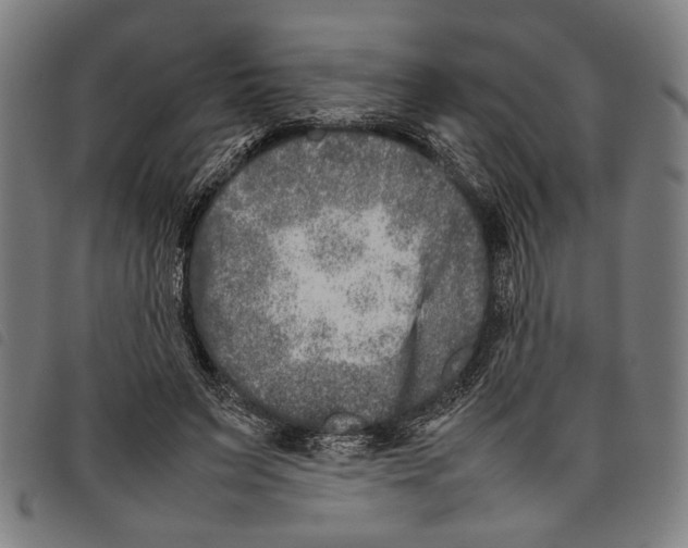 X0000097780495200804041217