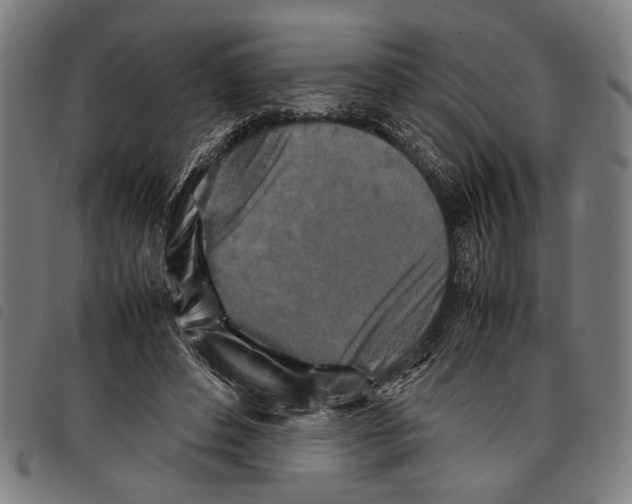 X0000097780496200804041217