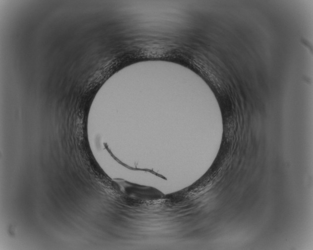 X0000097780497200804041217