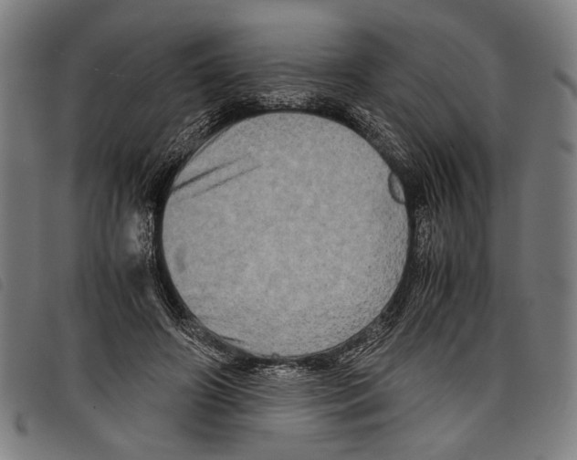 X0000097780498200804041217