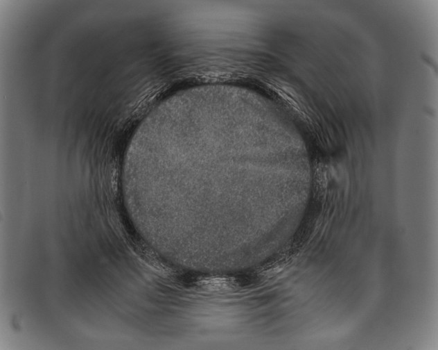 X0000097780499200804041217