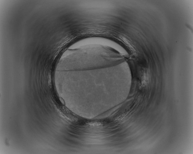 X0000097780500200804041217