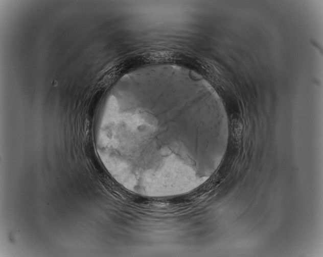 X0000097780507200804041217