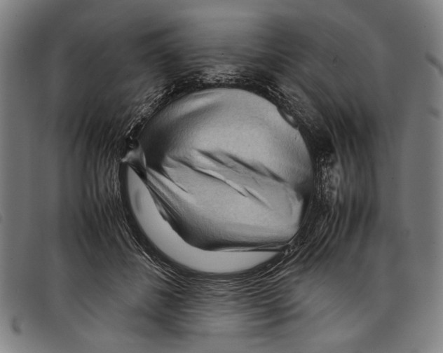 X0000097780508200804041217