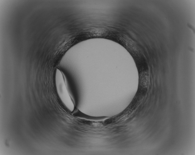 X0000097780509200804041217