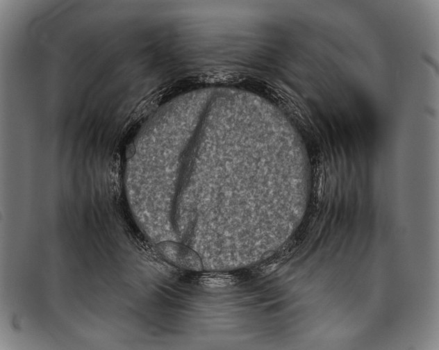 X0000097780510200804041217