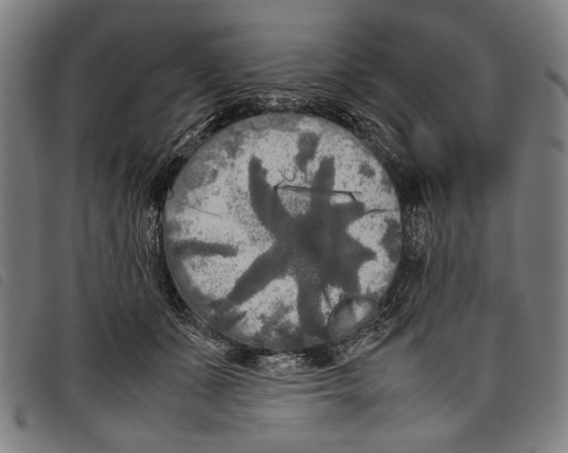 X0000097780511200804041217